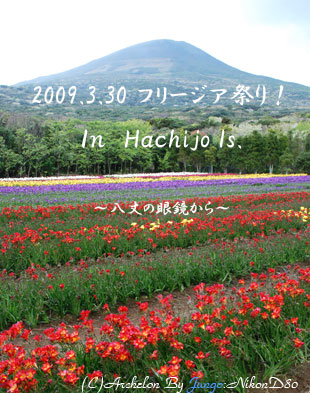 䓇@t[WAՂ