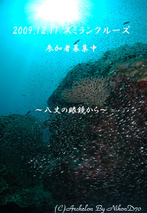 ^C@X~N[Y