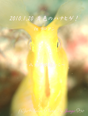 AɂāI