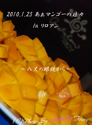 }S[I