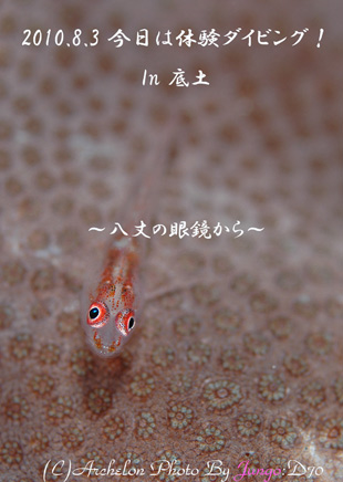䓇@̌^CrO