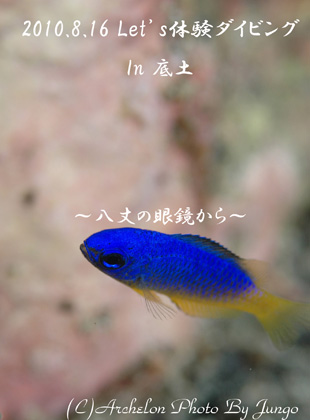 䓇@̌_CrO