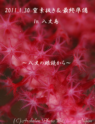 未来日記・・