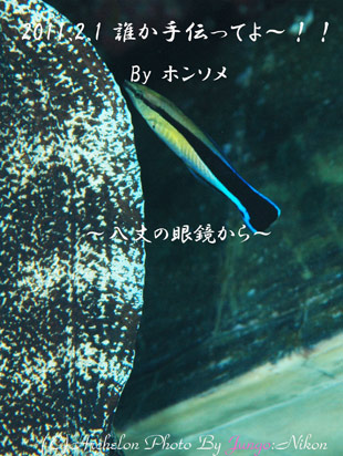 未来日記・・
