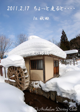 今日は冬景色!