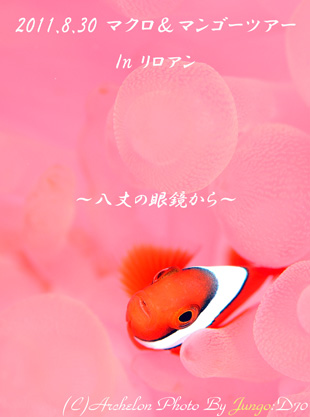 䓇@_CrO
