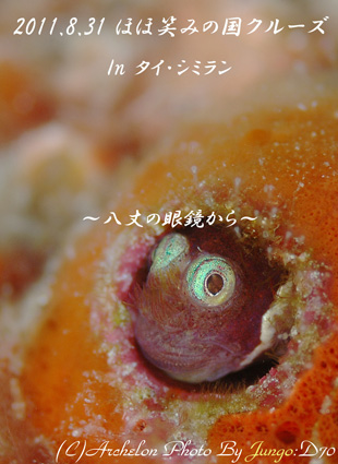 䓇@_CrO