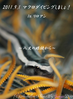 䓇@_CrO