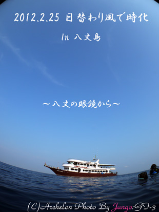 Np