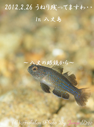 䓇ւႢI