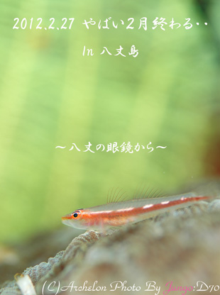 }N AjI