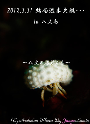 䓇@_CrO