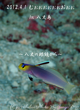 䓇@_CrO