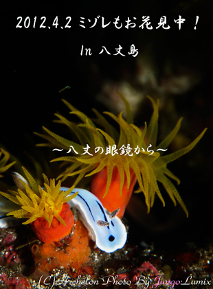 䓇@_CrO