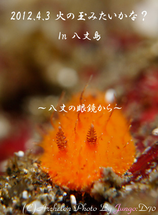 䓇@_CrO