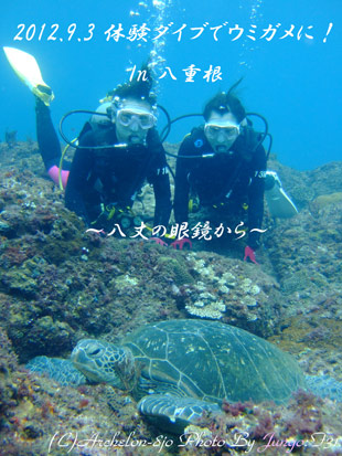 H̔䓇@̌_CrO
