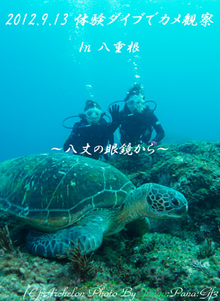 H̔䓇@̌_CrO