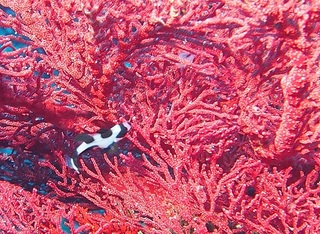 140902-03madara.jpg