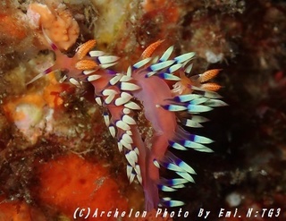 160909-n-02adeyaka.jpg