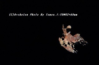 180731-i-01hurisode03.jpg