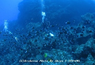 180803-s-02amami02.jpg