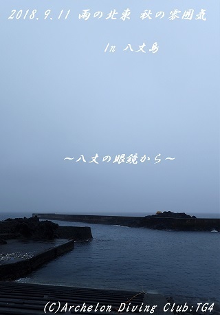 180911-yae02.jpg