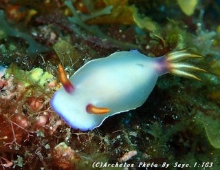 180913-s-03zouge.jpg