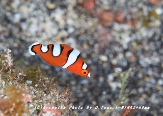 180915-y-01tuyu.jpg