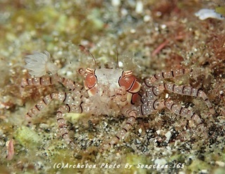 180917-s-06kinchaku.jpg