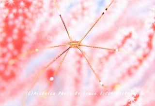 181008-i-02oruto.jpg
