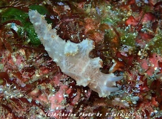 181028-s-03morok.jpg