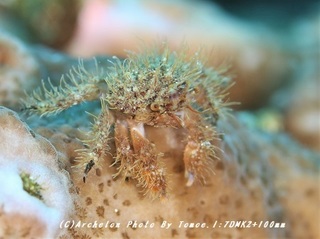 181030-t-05umihari.jpg