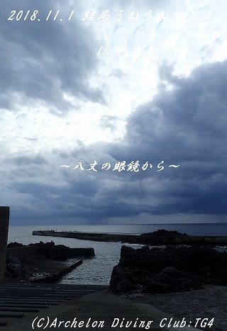181101-ya02.jpg