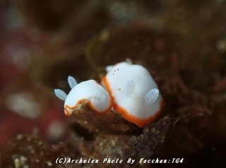 181119-y-04.jpg