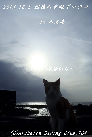 181205-soya02.jpg