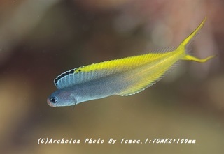 181218-i-03inase.jpg