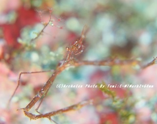 181223-t-05kubinaga.jpg
