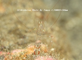 181224-i-03ebi.jpg