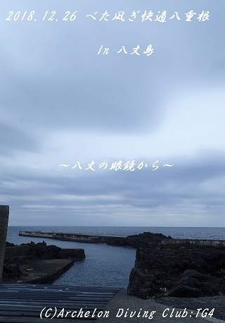 181226-ya02.jpg