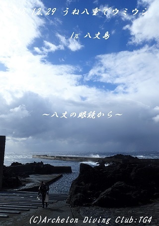 181229-ya02.jpg