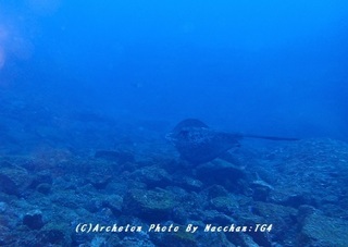 181230-n-05madara.jpg