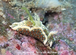 181231-n-03toumon.jpg