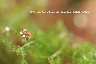 190112-a-02make.jpg