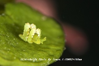 190112-i-1hurisode02.jpg