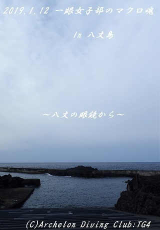 190112-ya02.jpg