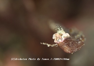 190118-i-04toumon.jpg