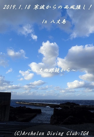 190118-ya02.jpg