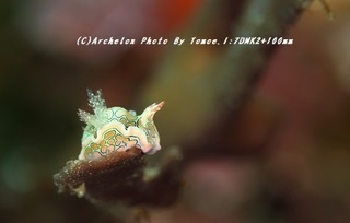 190119-i-03toumon.jpg