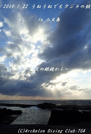 190122-ya02.jpg