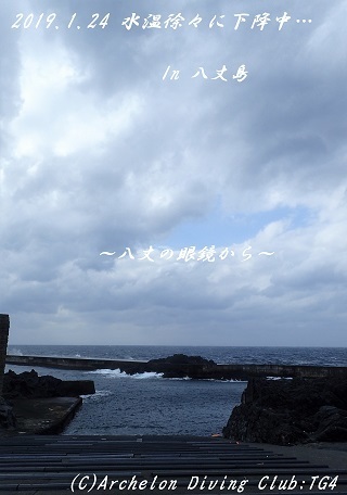 190124-ya02.jpg